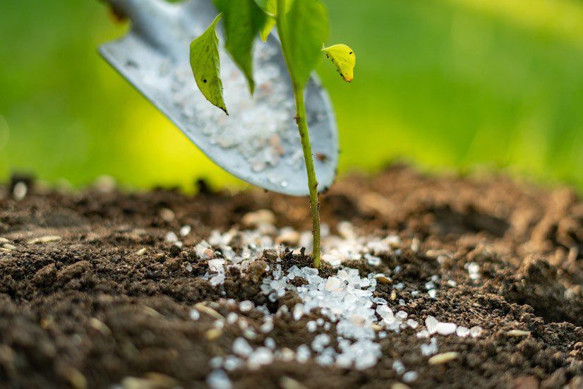 Lawn Fertilization