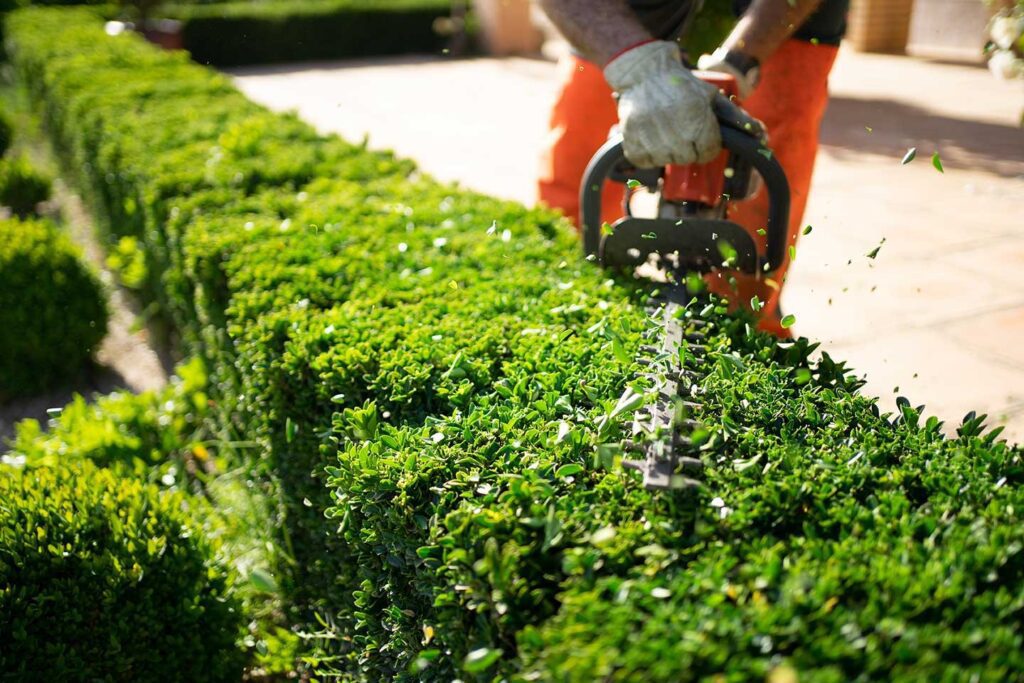 Bring Balance and Beauty to Your Yard with Shrub Trimming in Highland!