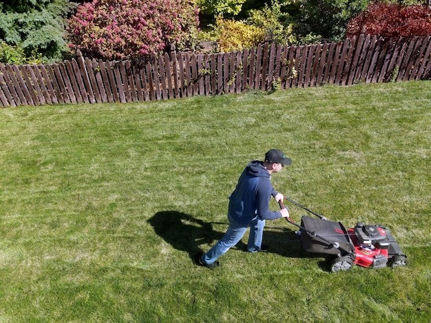 lawn care in Colorado