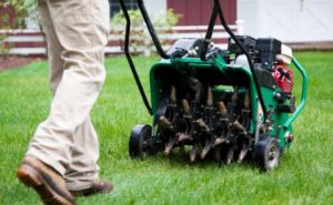 5 Reasons to Invest in Aeration Services Near You for a Thriving Lawn in Highlands Ranch