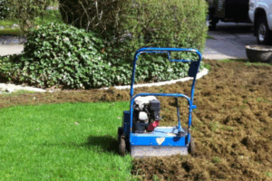 6 Proven Lawn Care Services in Parker That Will Transform Your Yard This Year