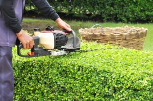 How to Keep Your Landscape Healthy with Shrub Trimming in Southern Utah