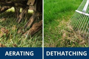 Why Core Aeration and Dethatching Are Essential for Your Lawn in Lone Tree?