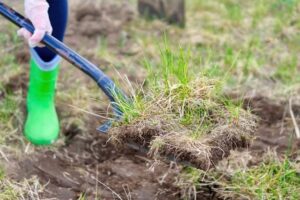 Why Core Aeration and Dethatching in Lone Tree Are Game-Changers for Your Yard