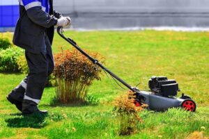 Why Every Colorado Homeowner Needs Aeration Services for a Healthy Lawn